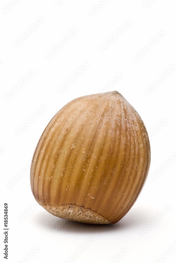 Avellana de pie. Avellana de pie.