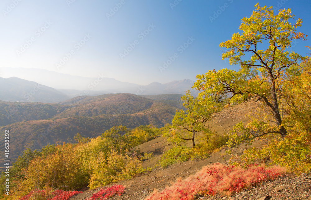 autumn mountain