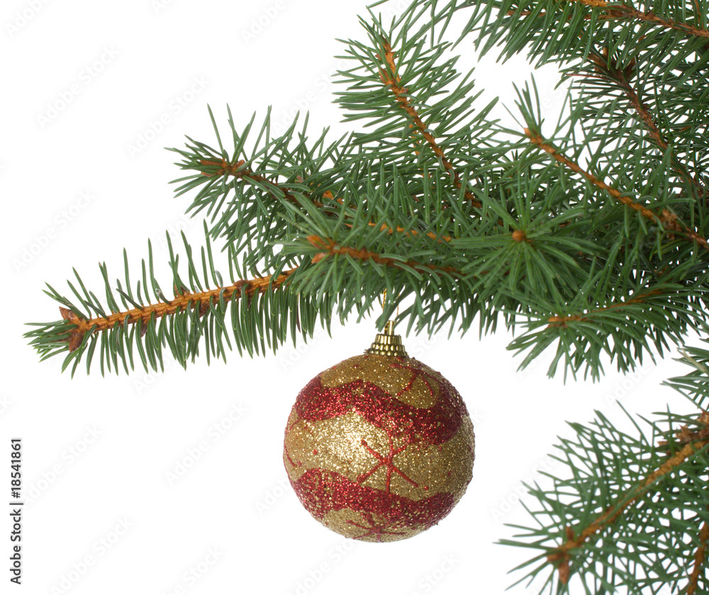 christmas ball in a fir branch christmas ball in a fir branch