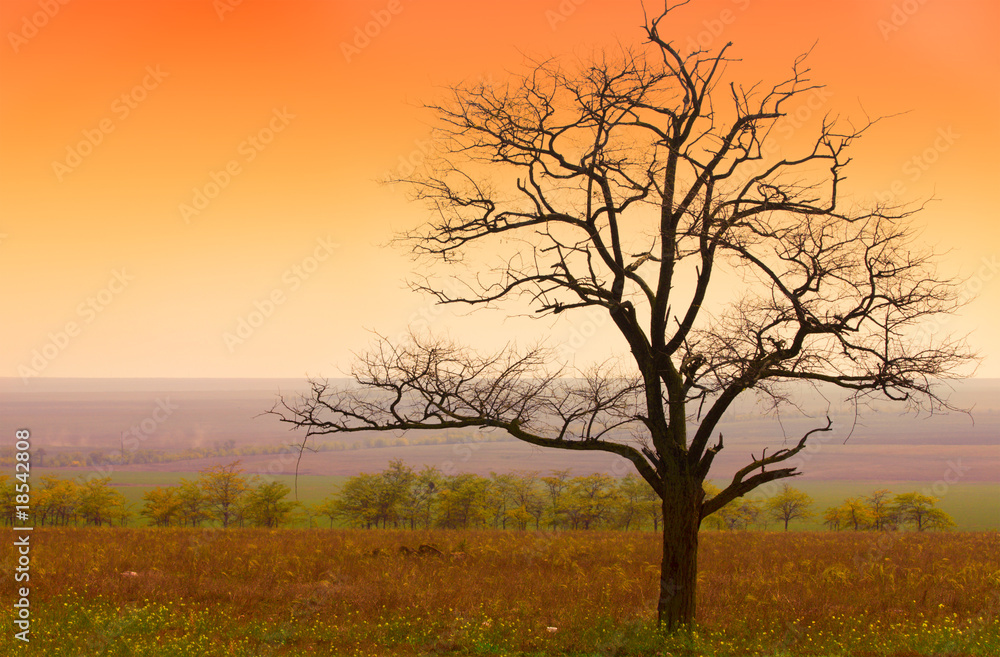 beautiful landscape and sunrise beautiful landscape and sunrise