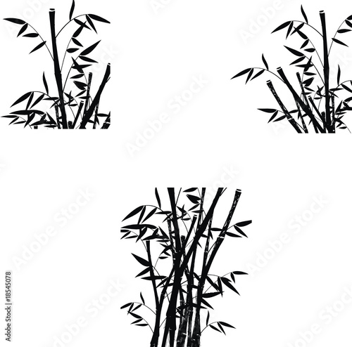 Fototapeta Naklejka Na Ścianę i Meble -  bamboo set