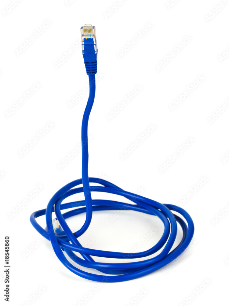 Computer cable like a snake - internet security concept Computer cable like a snake - internet security concept