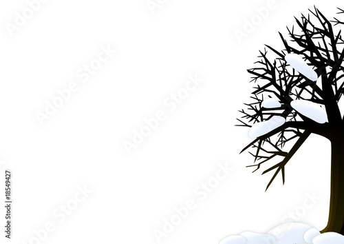winter tree