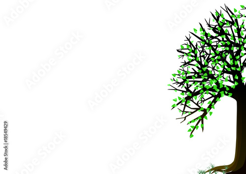 spring tree