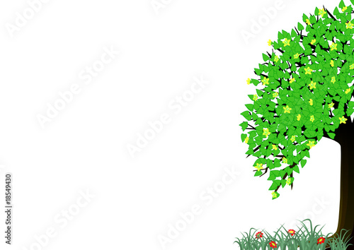 summer tree