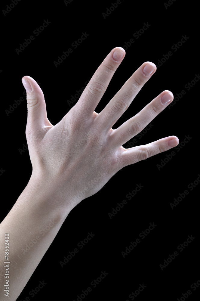 gestures, hands, five, palm