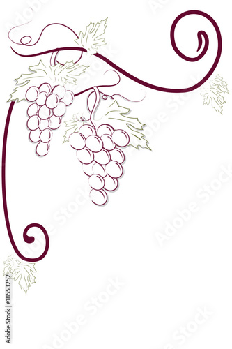 Grappoli uva disegnati