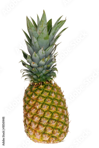 Isolated Pineapple