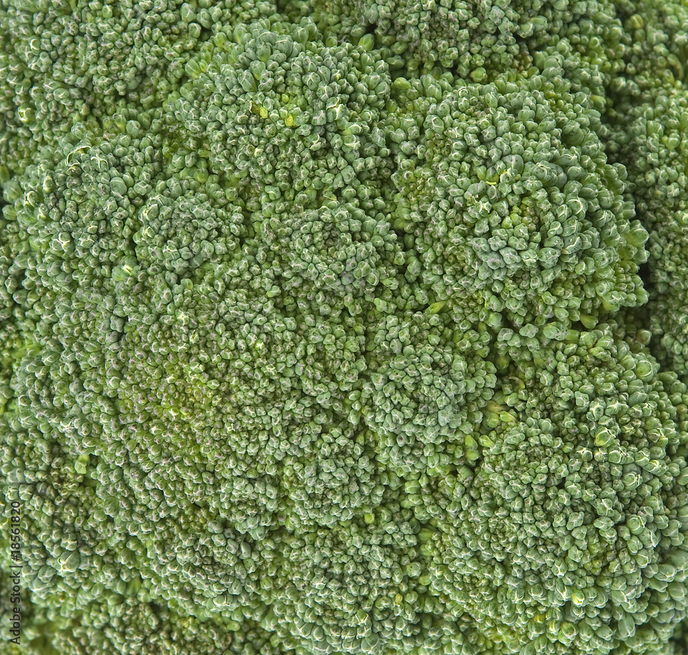 broccoli texture