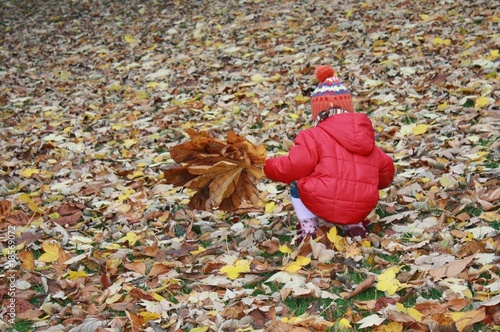 Kleinkind sammelt Kastanienblätter