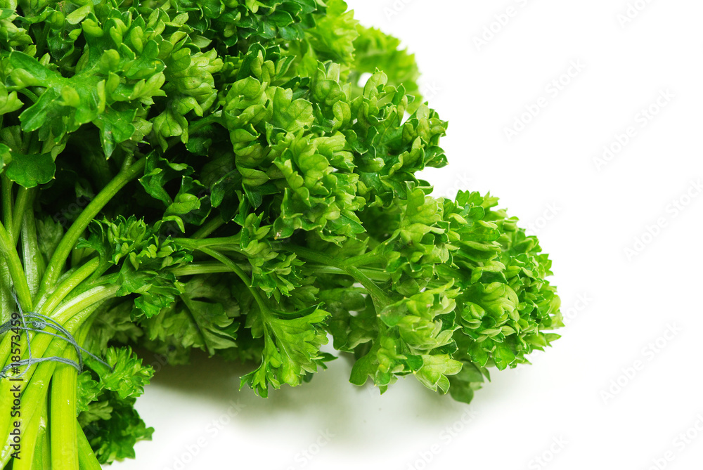parsley on white parsley on white