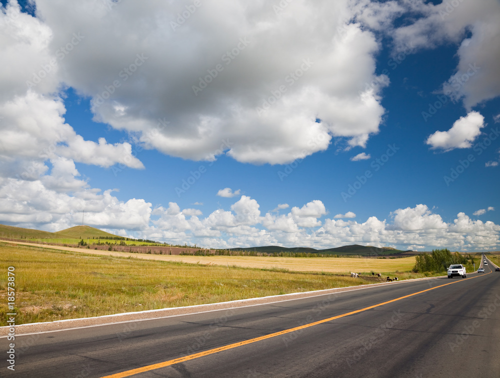 Fototapeta premium road