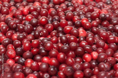 Cranberries put by background