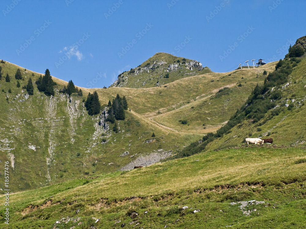 Ski station and cows in Alpine mountains