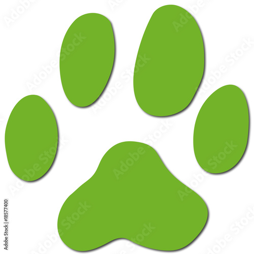 Fototapeta Naklejka Na Ścianę i Meble -  Katzenpfote, Katzentatze, Hundepfote, Hundentatze mit Schatten