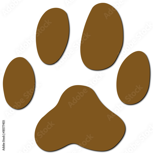 Fototapeta Naklejka Na Ścianę i Meble -  Katzenpfote, Katzentatze, Hundepfote, Hundentatze mit Schatten