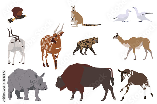 set of wild animals  collage style drawing