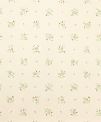 Papier peint photo Magasin de fleurs Texture vintage aux motifs patinés  © Tommaso Lizzul