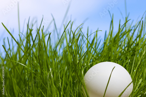 Obraz na płótnie table tennis ball against grass and blue sky