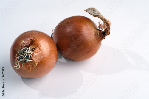 Onions photo