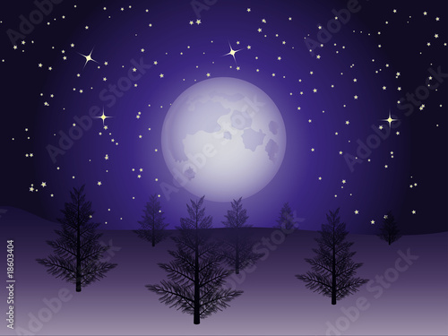 Christmas landscape