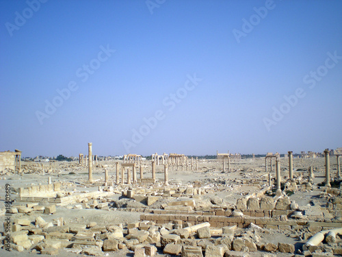 Palmira photo