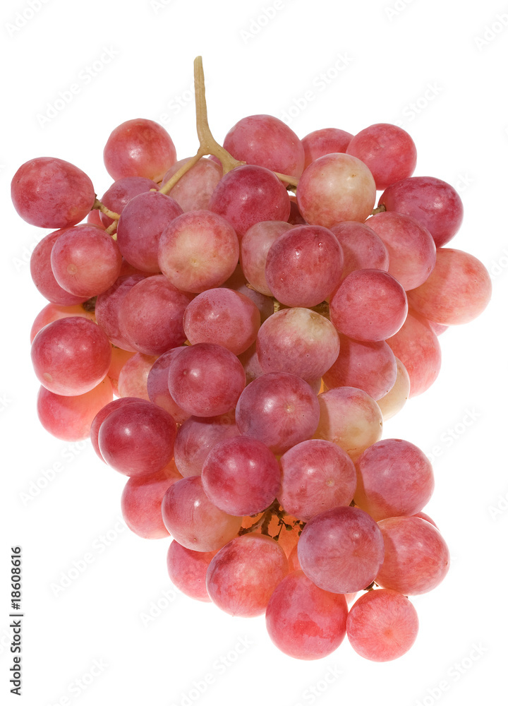 Fototapeta premium red grape