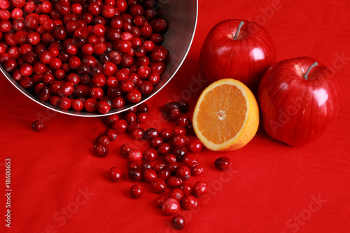 Obraz na plátně Ingredients for seasonal cranberry relish or sauce