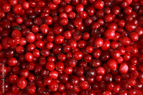 Fresh cranberry background