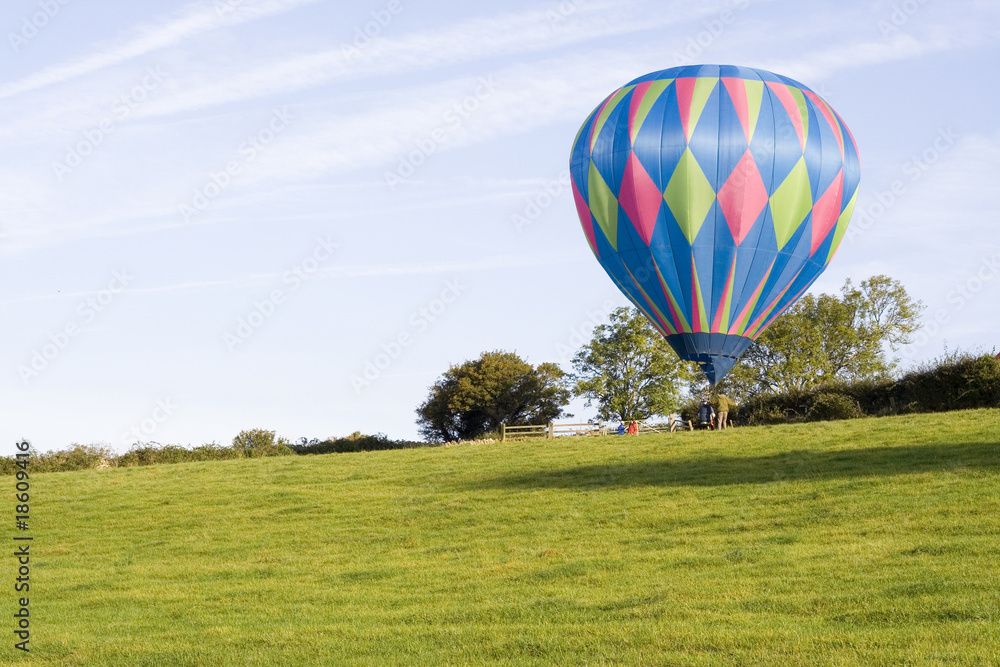 Obraz premium Balloon in Field