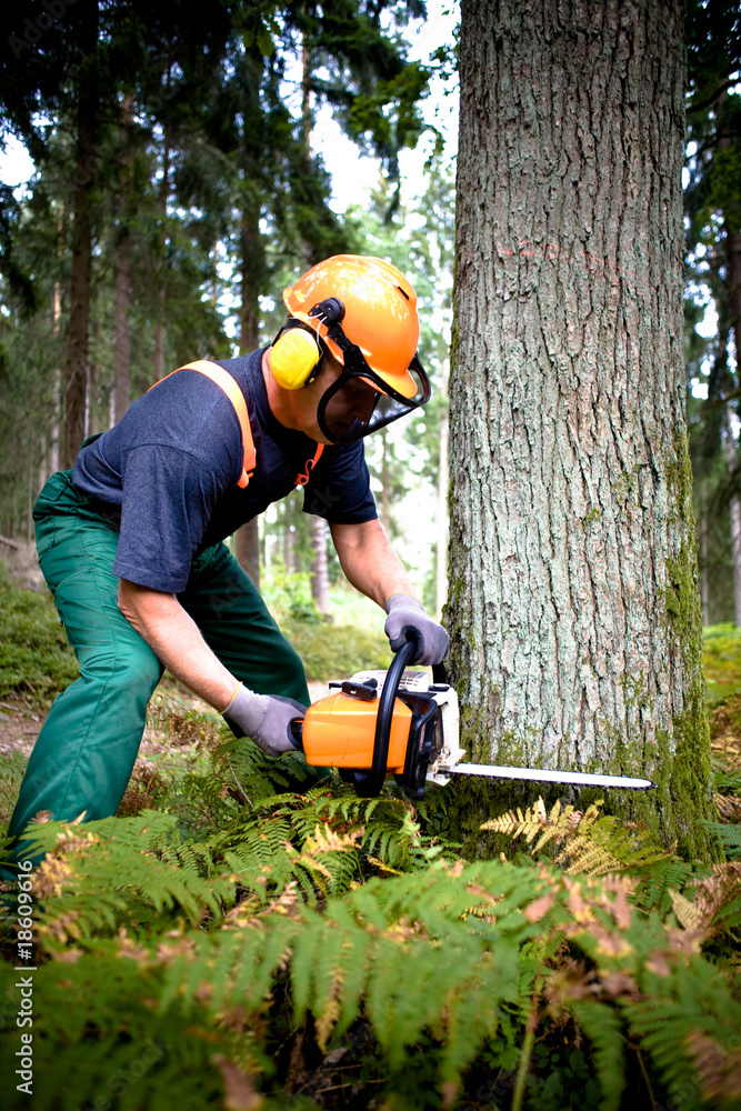 lumberjack lumberjack