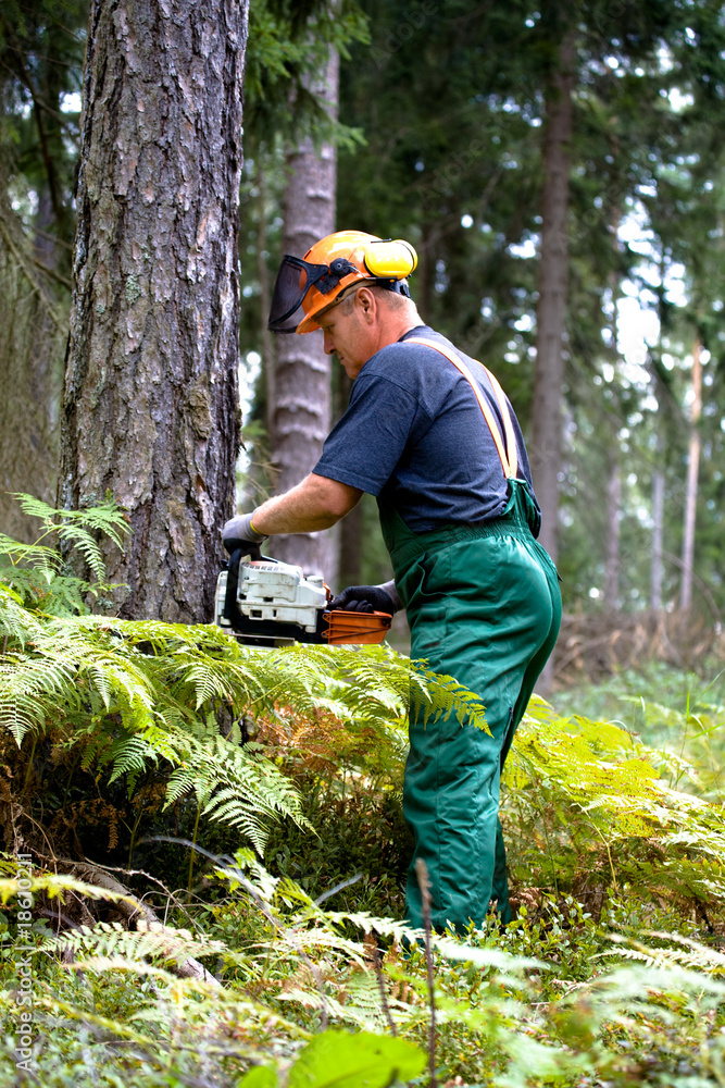 lumberjack lumberjack