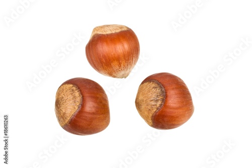 Three hazelnuts isolated on a white background