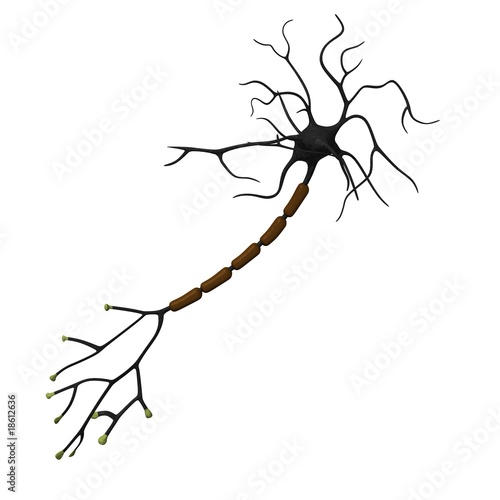 Konstfotografi neuron