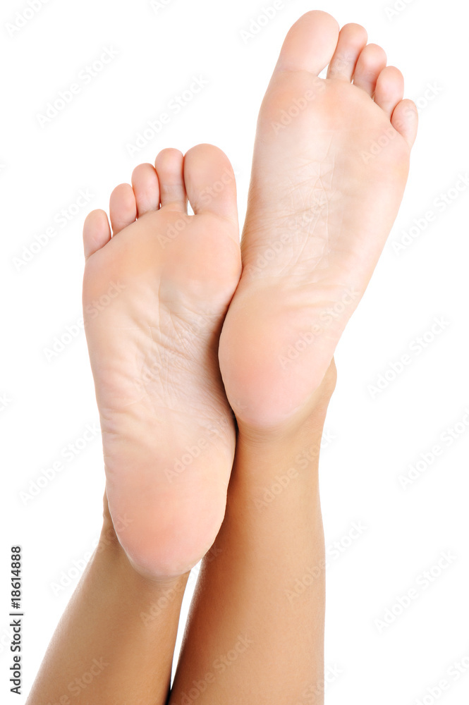 Beautiful well-groomed female a foot and a heel Beautiful well-groomed female a foot and a heel