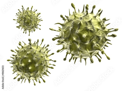 isolierte H1N1 - Viren