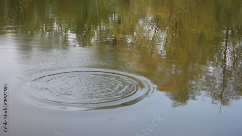 crease marks after rock dropped in the water