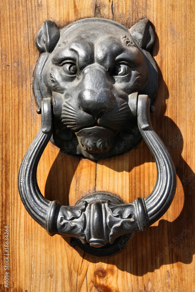 Decorative door knocker in Florence