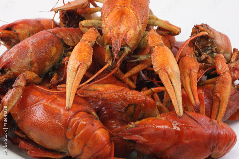 red, delicious, boiled crayfish lie on a white background red, delicious, boiled crayfish lie on a white background