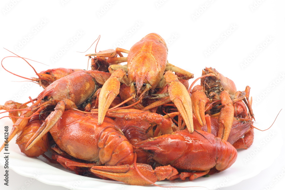 red, delicious, boiled crayfish lie on a white background red, delicious, boiled crayfish lie on a white background