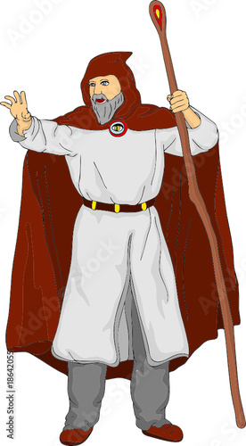 vector - druid isolated on background