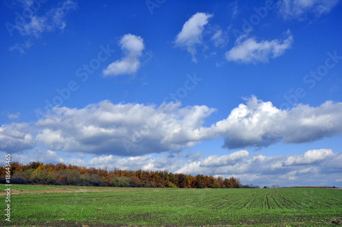 Valey of Sumadija photo