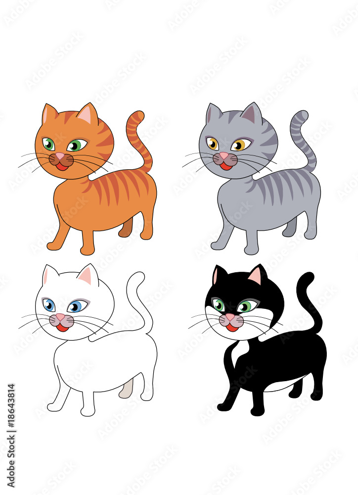 gatto in 4 varianti gatto in 4 varianti