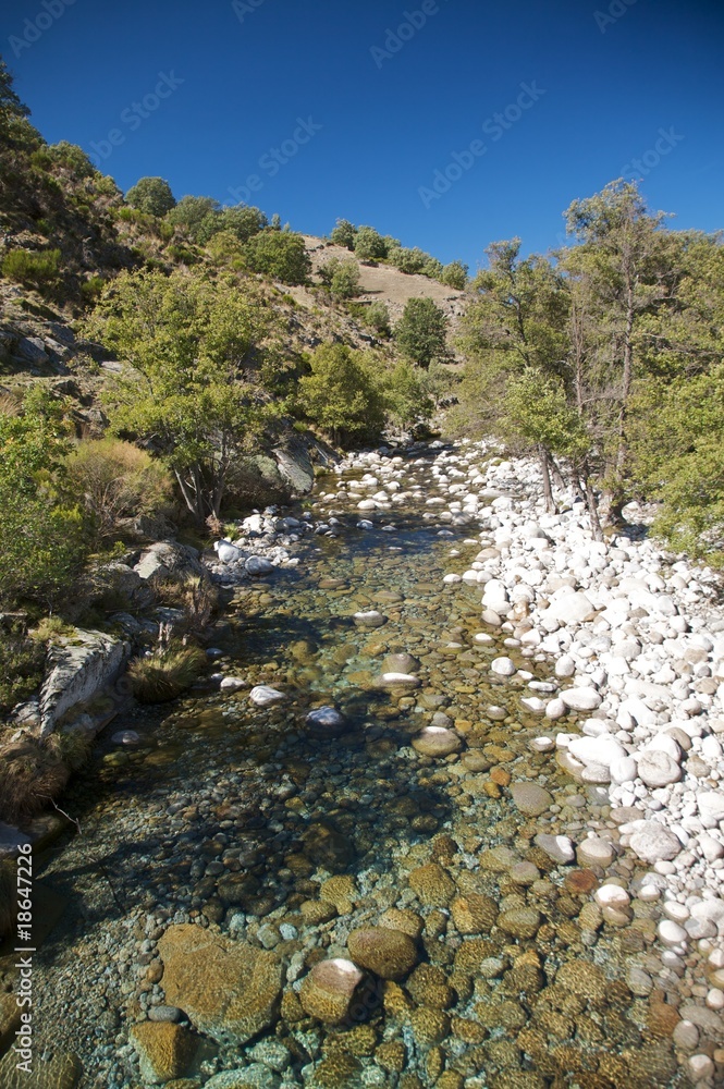 river full of rocks