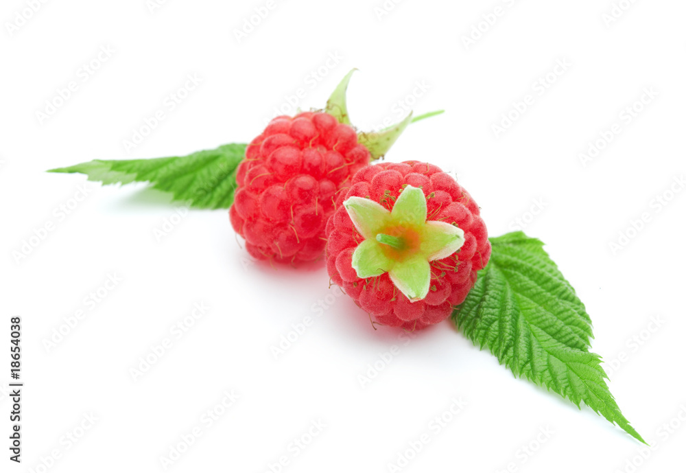 Raspberries Raspberries