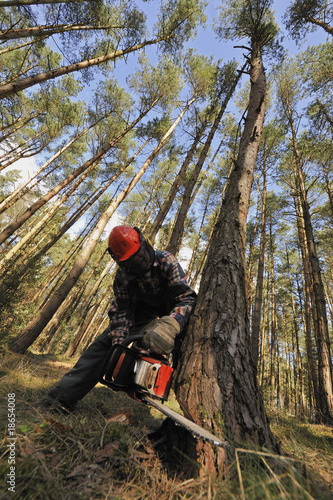 Waldarbeiter - Forstwirtschaft
