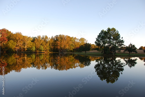 Wallpaper Mural Peacful lake reflection Torontodigital.ca