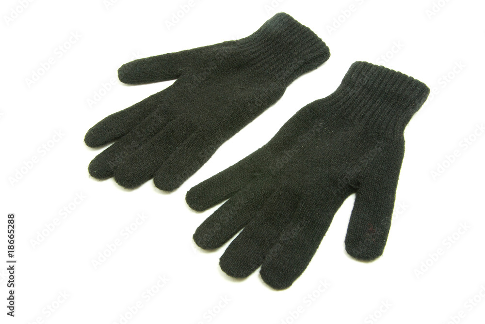 gloves gloves