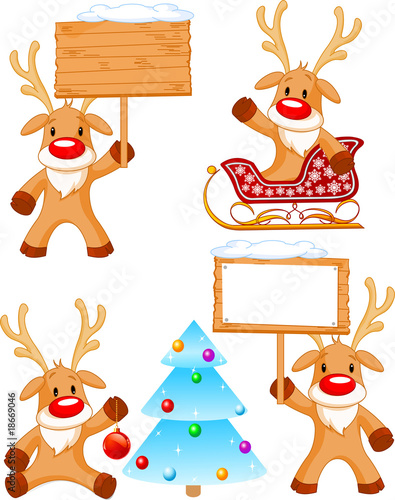 Reindeer Rudolph