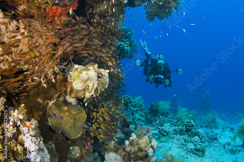 underwater reef with underwater photographer